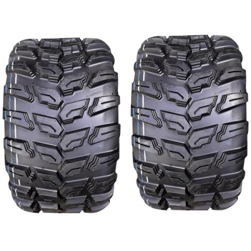 2x 23x10-12 255/55R12 74F Radial 8PR E4 Wanda Journey Traget P-3035 P3035 Quad / ATV / UTV Reifen