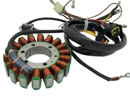 71-01950 Lichtmaschine Polaris