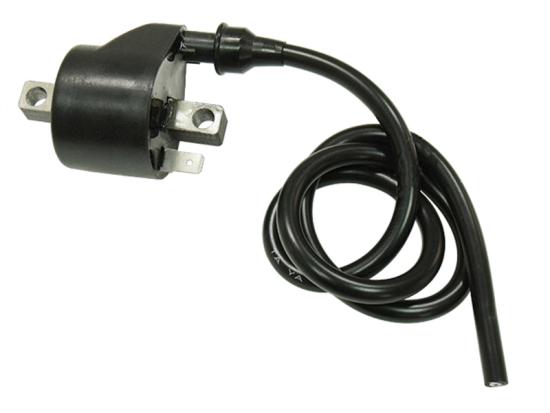 71-195062 Z�ndspule f�r Polaris Predator 500